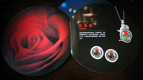 麣v(chung)Ļ޹˾ V残O(sh)Ӌ˾ 